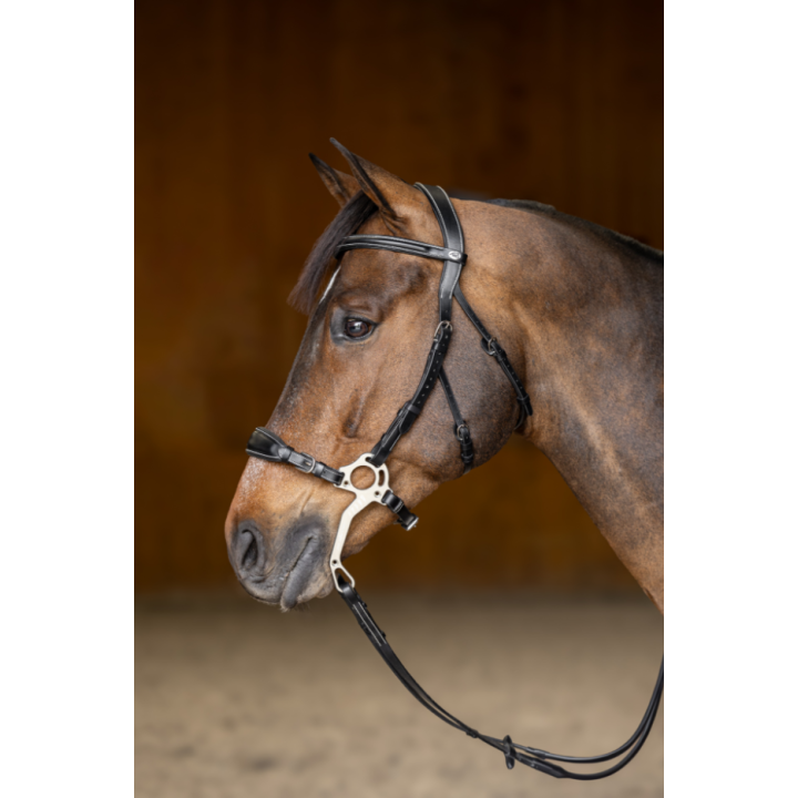 Bridon Hackamore - HFI