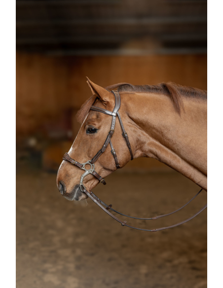 Bridon Hackamore - HFI