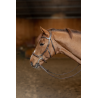 Bridon Hackamore - HFI