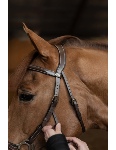 Bridon Hackamore - HFI