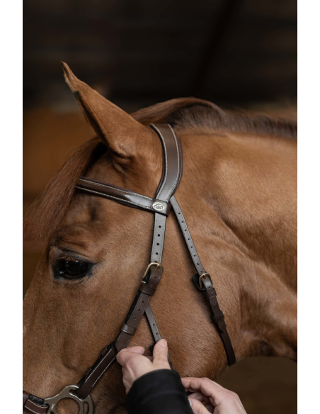 Bridon Hackamore - HFI