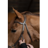 Bridon Hackamore - HFI
