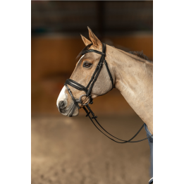 Bridon Edges - HFI