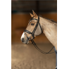 Bridon Edges - HFI