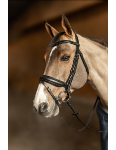 Bridon Edges - HFI 2