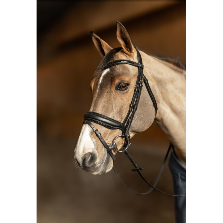 Bridon Edges - HFI