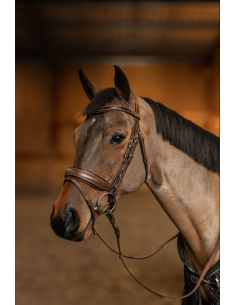 Bridon Edges - HFI 2