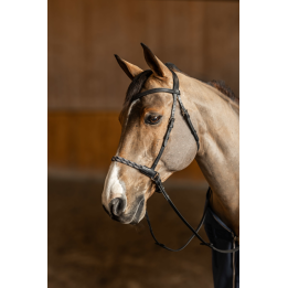 Bridon sans mors Freedom - HFI
