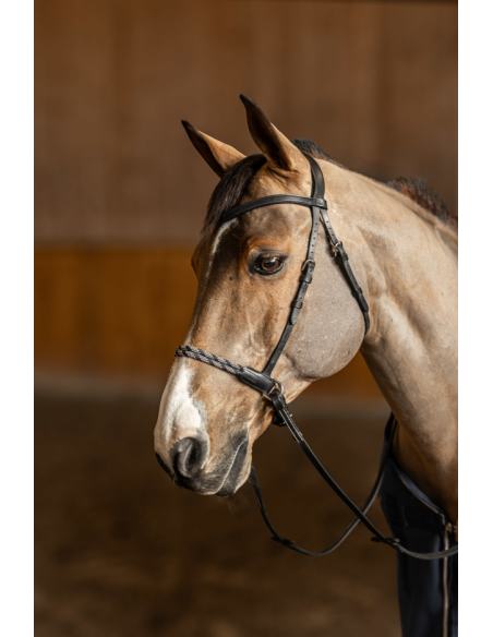 Bridon sans mors Freedom - HFI