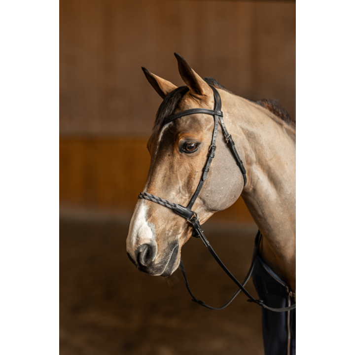 Bridon sans mors Freedom - HFI