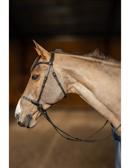 Bridon sans mors Freedom - HFI