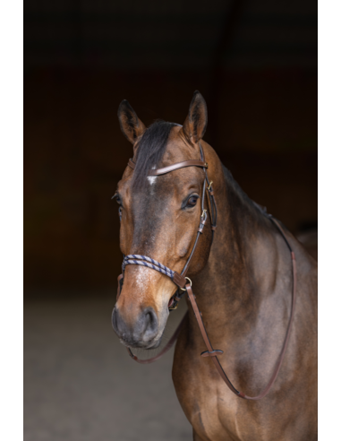 Bridon sans mors Freedom - HFI