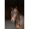 Bridon sans mors Freedom - HFI