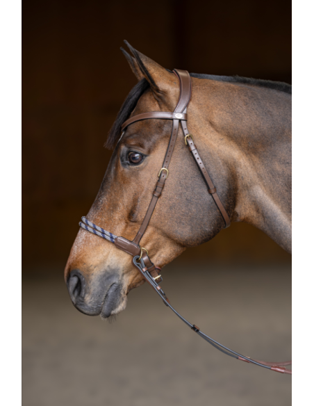 Bridon sans mors Freedom - HFI