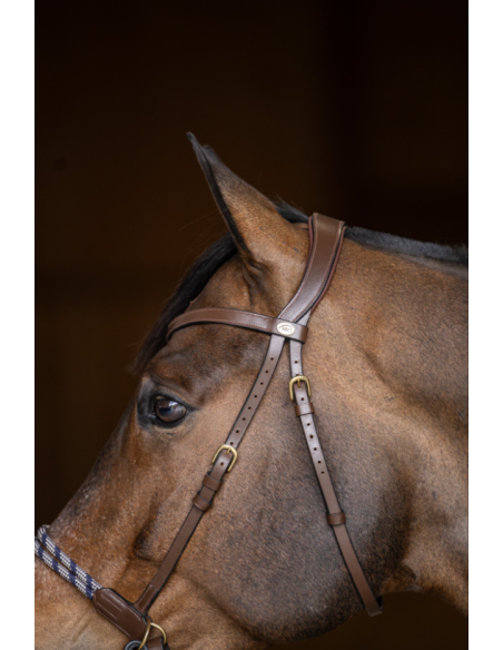 Bridon sans mors Freedom - HFI