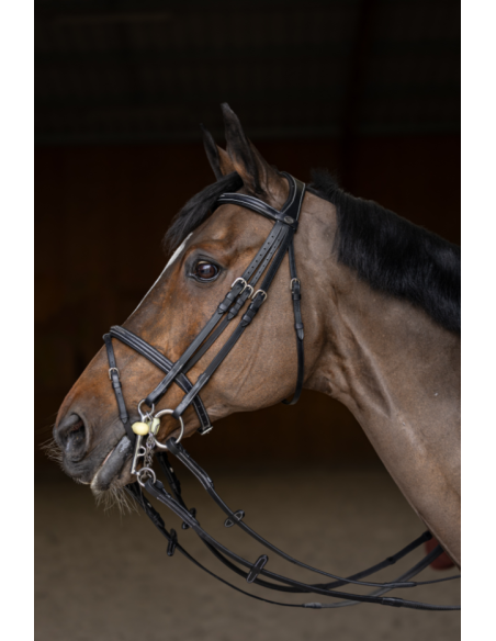 Bride de Jumping Double Jump - HFI