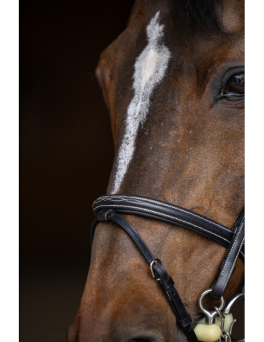 Bride de Jumping Double Jump - HFI