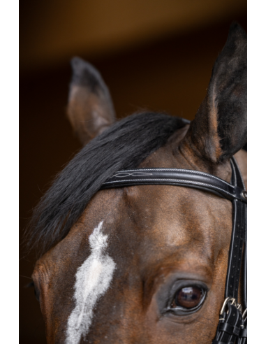 Bride de Jumping Double Jump - HFI