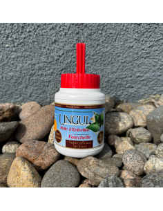 UNGULA Huile d'entretien de la fourchette