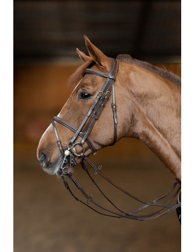 Bride de Jumping Double Jump - HFI