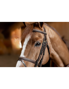 Bride de Jumping Double Jump - HFI 2