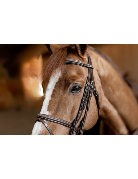 Bride de Jumping Double Jump - HFI