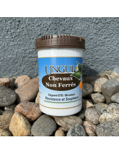 UNGULA Chevaux non ferrés