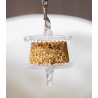 Friandise Granola - Likit