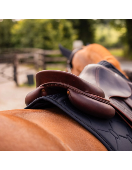 Tapis Spineshield Swarovski - Samshield