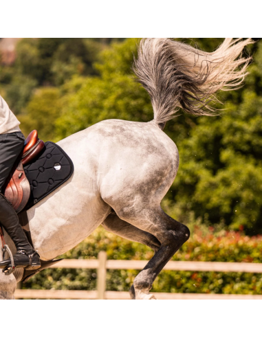 Tapis Spineshield Embroidery - Samshield