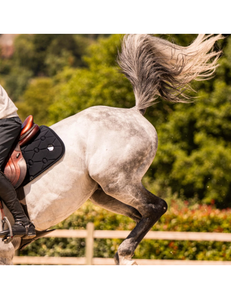 Tapis Spineshield Embroidery - Samshield