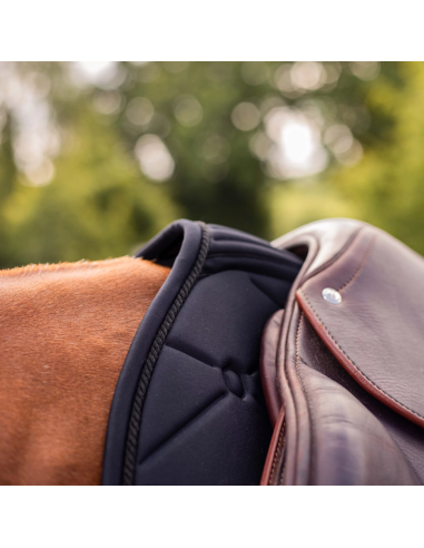 Tapis Spineshield Embroidery - Samshield