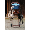 Chariot Porte-Selle - Hippotonic