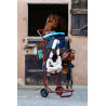 Chariot Porte-Selle - Hippotonic
