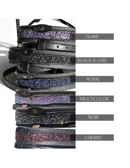 Bridon Evolution Contact Disco Bitless - IHWT