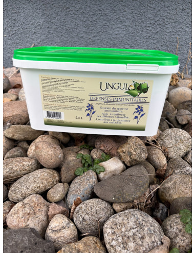 Défenses Immunitaires - Ungula