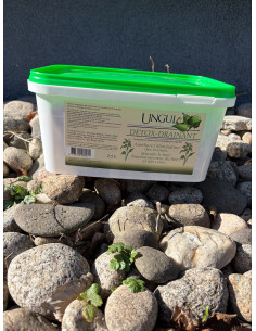 Détox-Drainant - Ungula