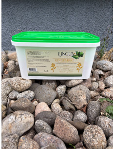 Gingembre - Ungula