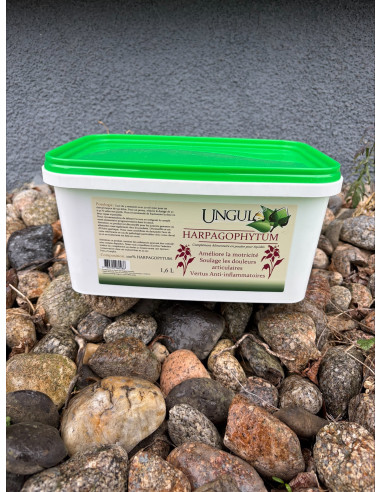 Harpagophytum - Ungula