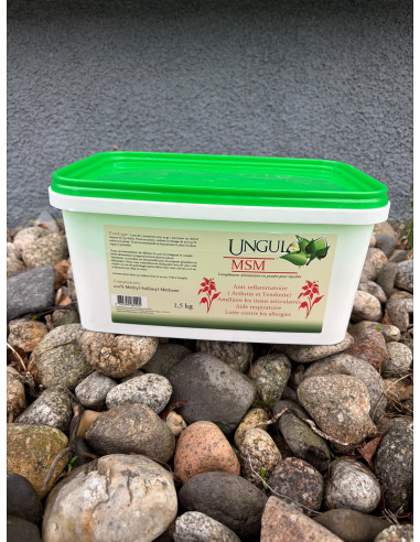MSM - Ungula