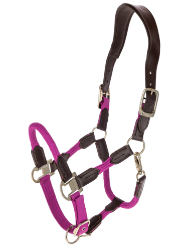 Licol Cordano Deluxe - Covalliero