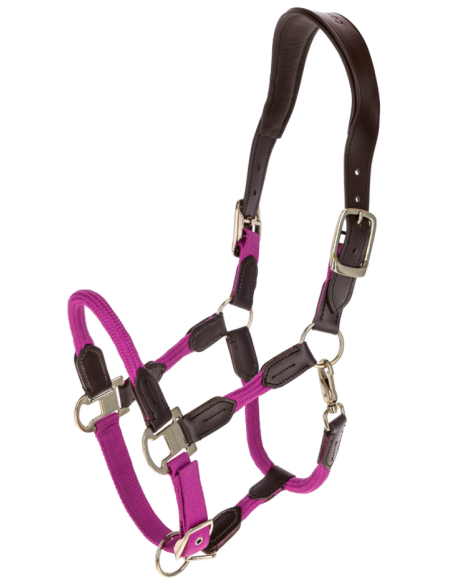 Licol Cordano Deluxe - Covalliero