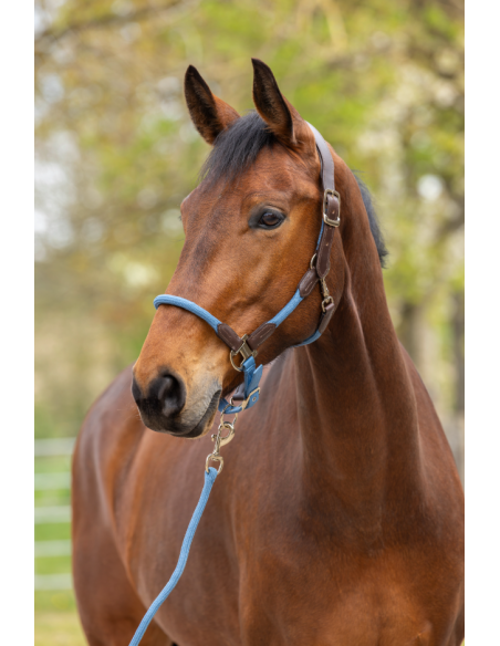 Licol Cordano Deluxe - Covalliero