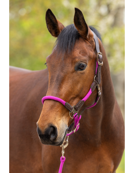 Licol Cordano Deluxe - Covalliero