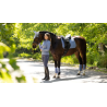 Tapis Square Dressage en suédine SS26 - LeMieux