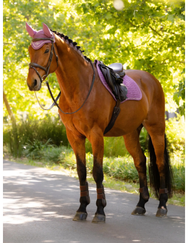 Tapis Close Contact Square SS26 - LeMieux