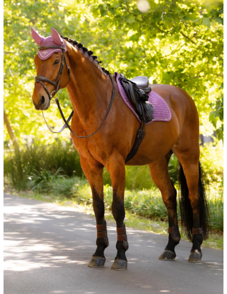 Tapis Close Contact Square SS26 - LeMieux