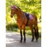 Tapis Close Contact Square SS26 - LeMieux
