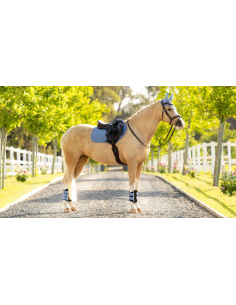 Tapis Close Contact Square SS26 - LeMieux 2