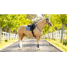 Tapis Close Contact Square SS26 - LeMieux